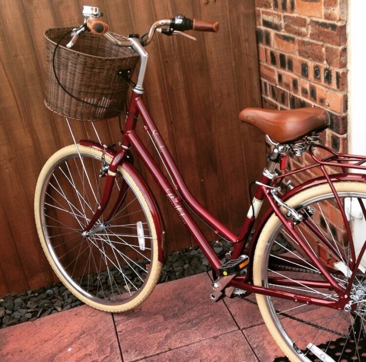 basket for pendleton bike